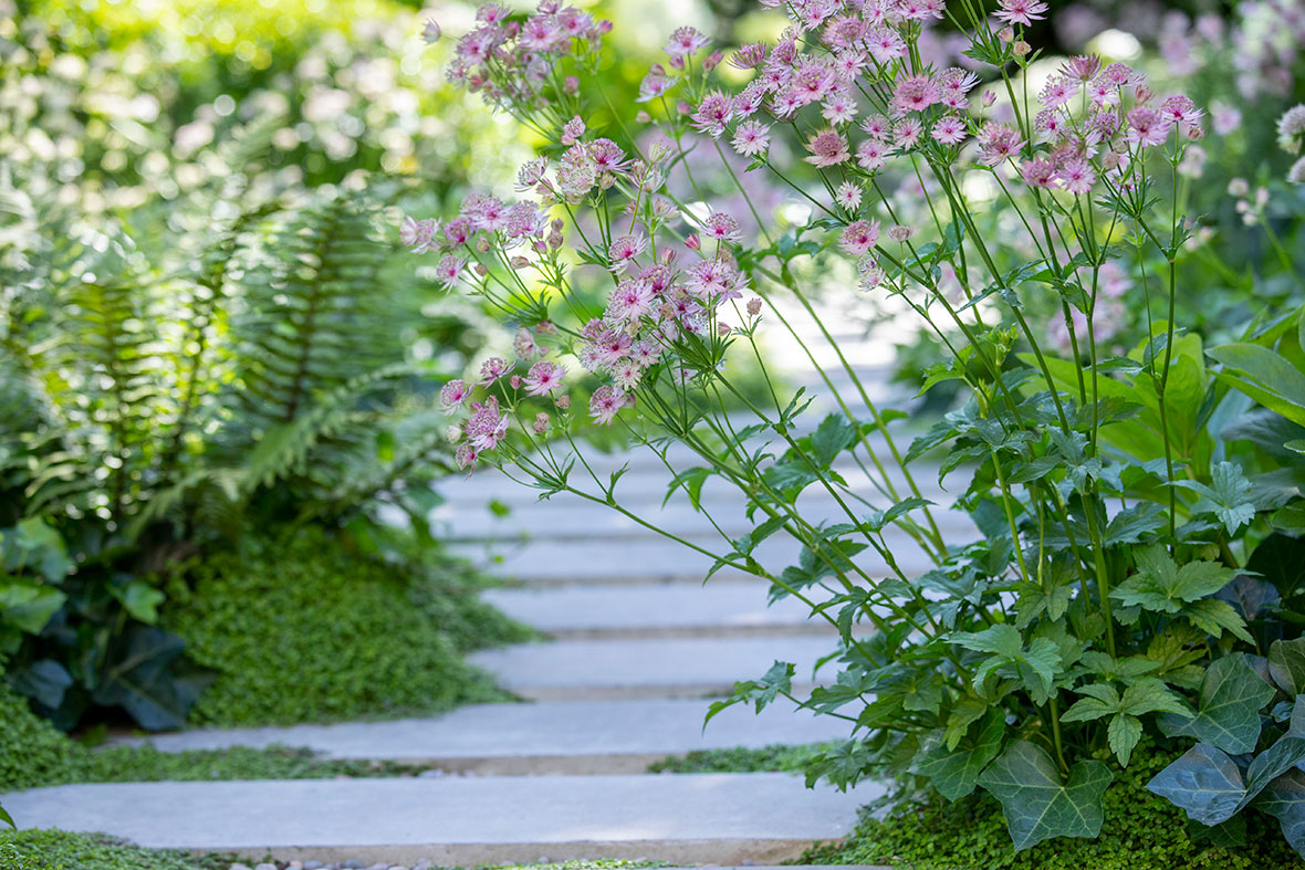 Stuart Craine Design Barnsbury Garden