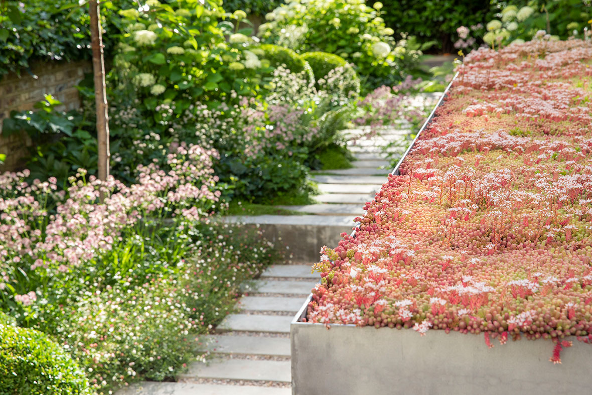 Stuart Craine Design Barnsbury Garden