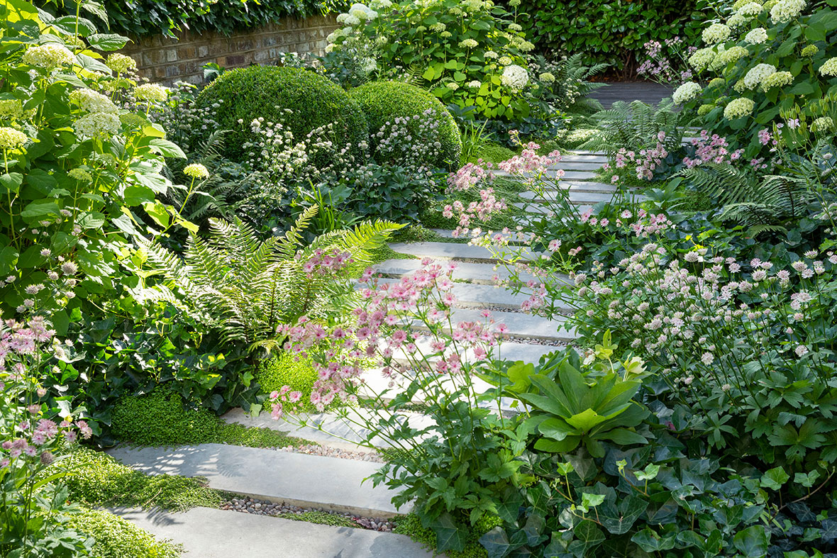Stuart Craine Design Barnsbury Garden